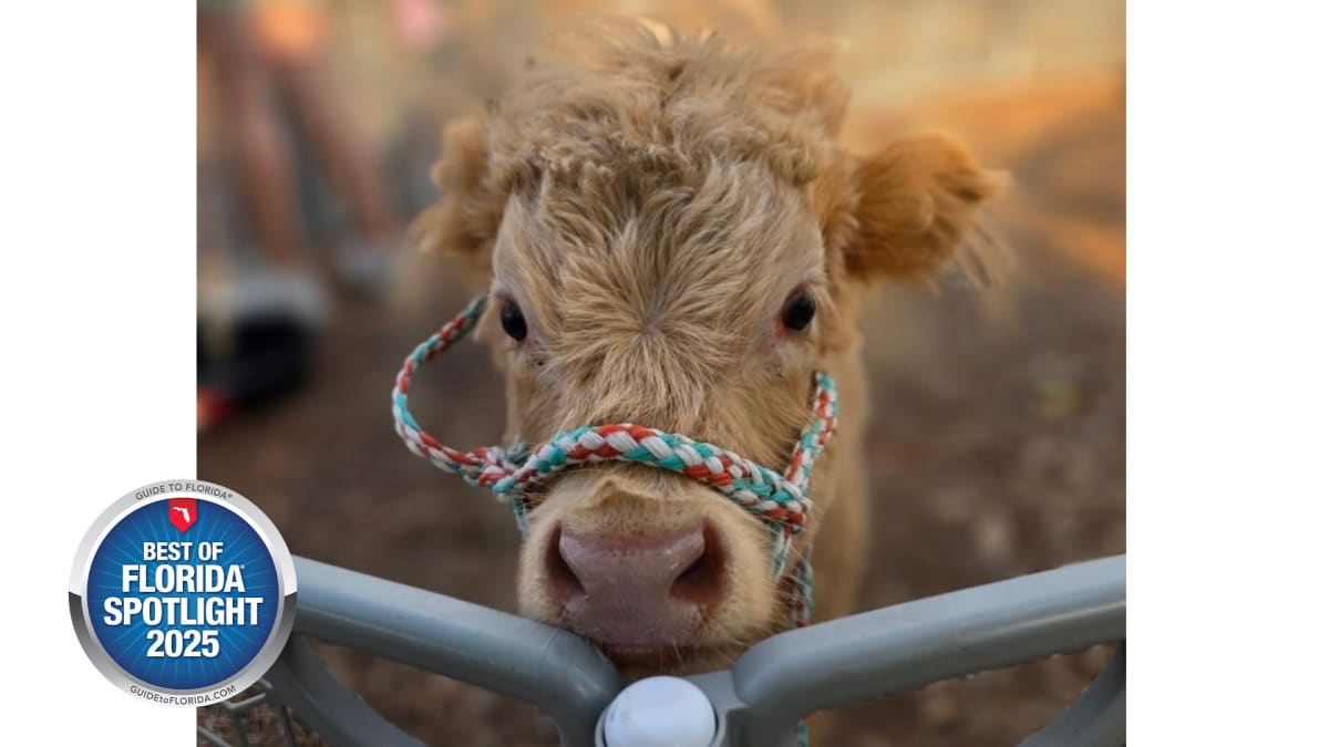 A Little Farm That Brings Big Smiles