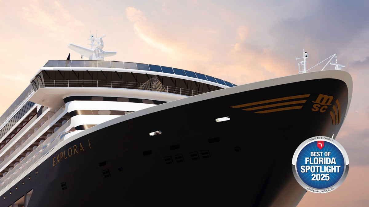Bon Voyage Without the Baggage
