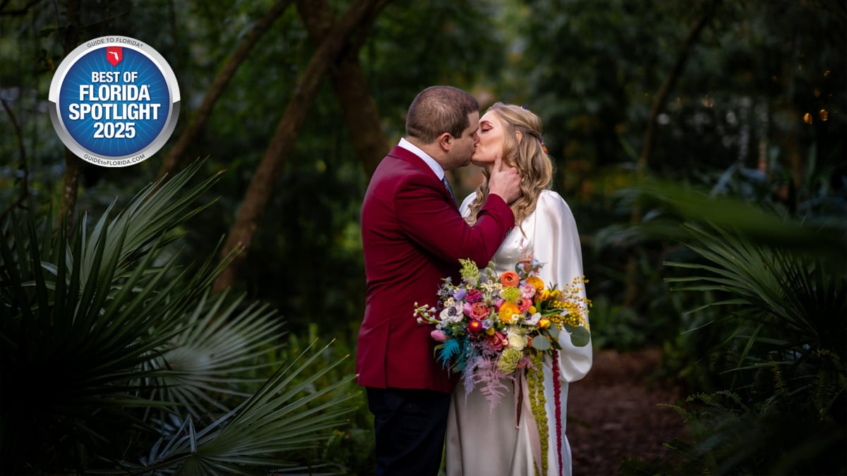 From the First Look to the Last Dance, They’ve Got You!