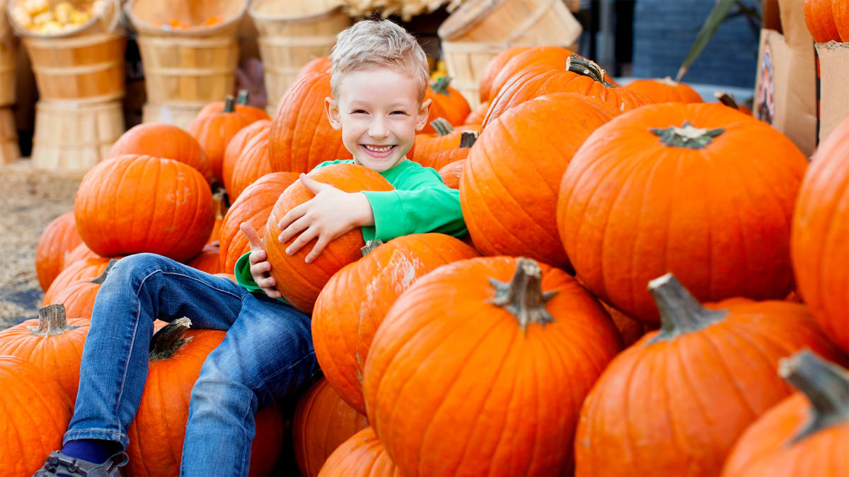 Gourd Times Ahead!