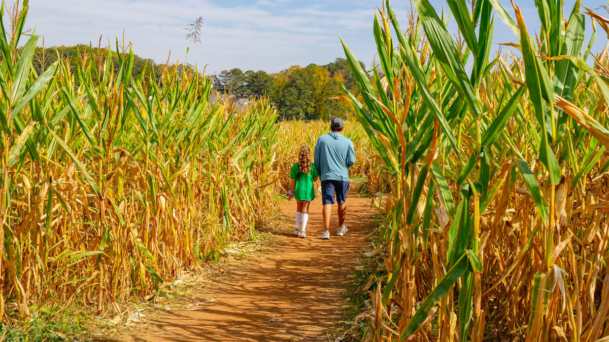 A-Maze-ing Adventures Await!