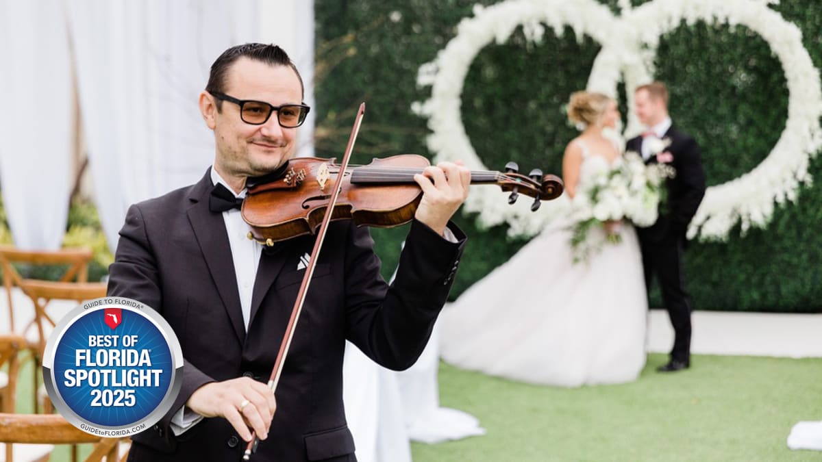 Sunset Strings Brings Fairy-Tale Music to Life with Elegant Live Strings