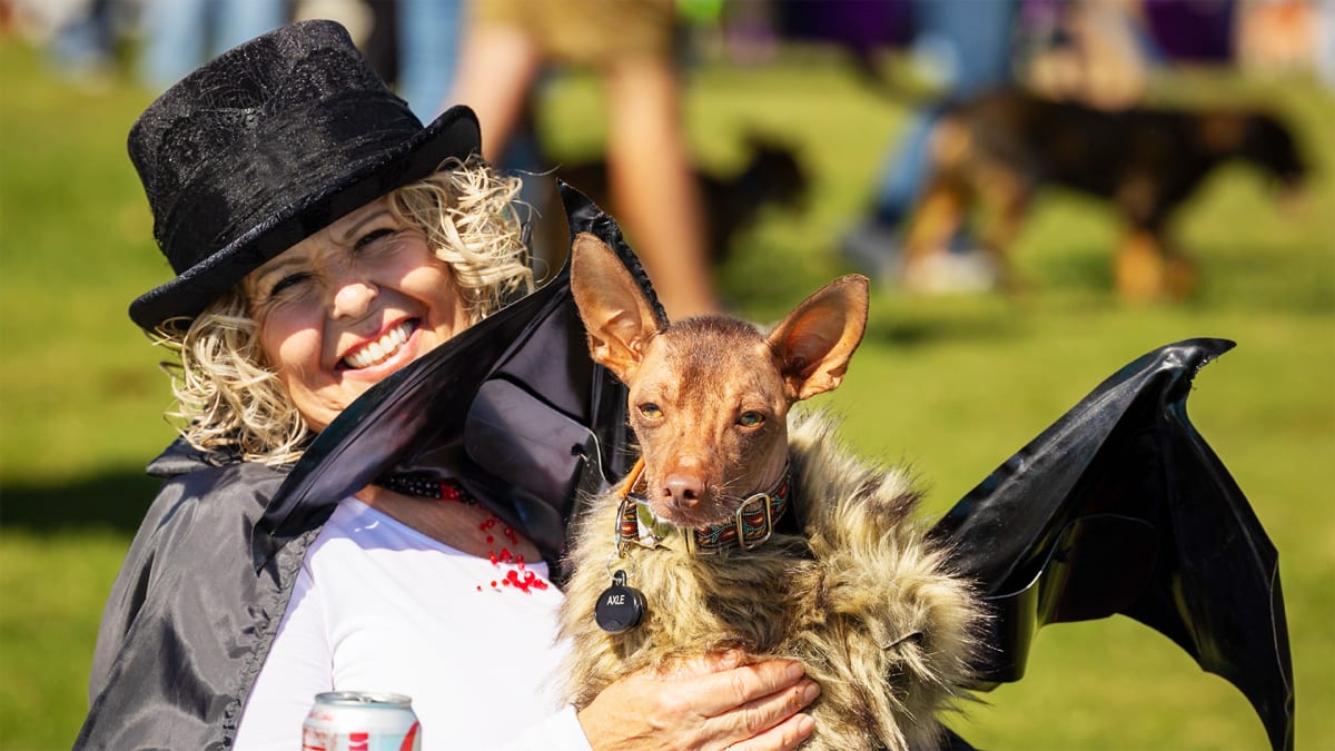 A Festival Fit for Man’s Best Friend!