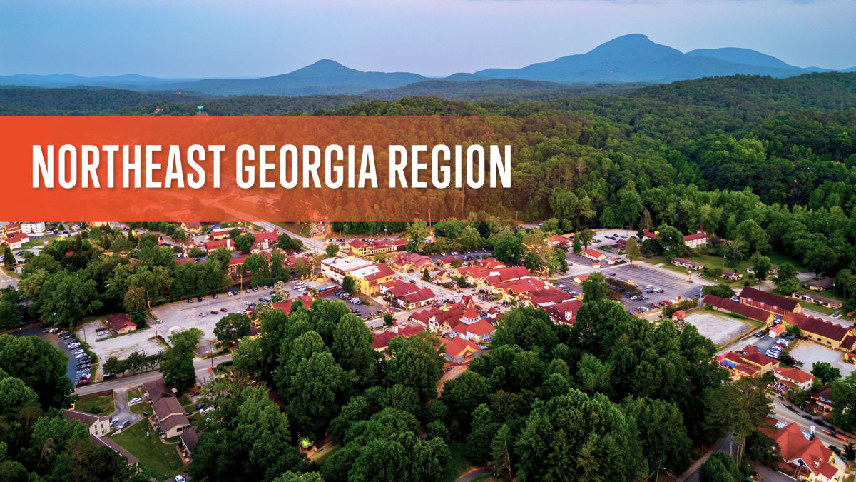 Northeast Georgia Region