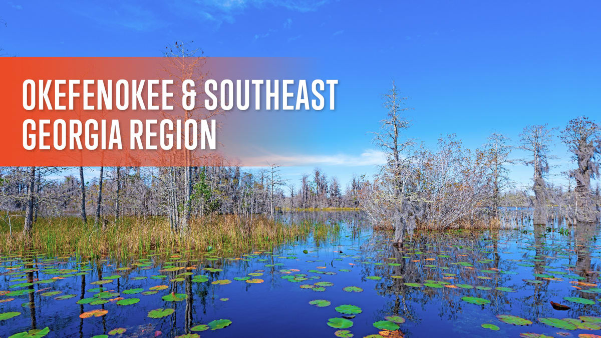 Okefenokee & Southeast Georgia Region