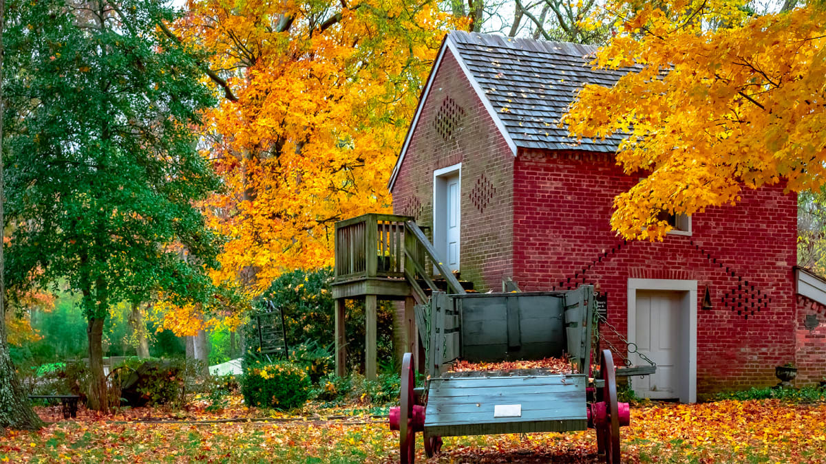 See Tennessee’s Past, One Step at a Time