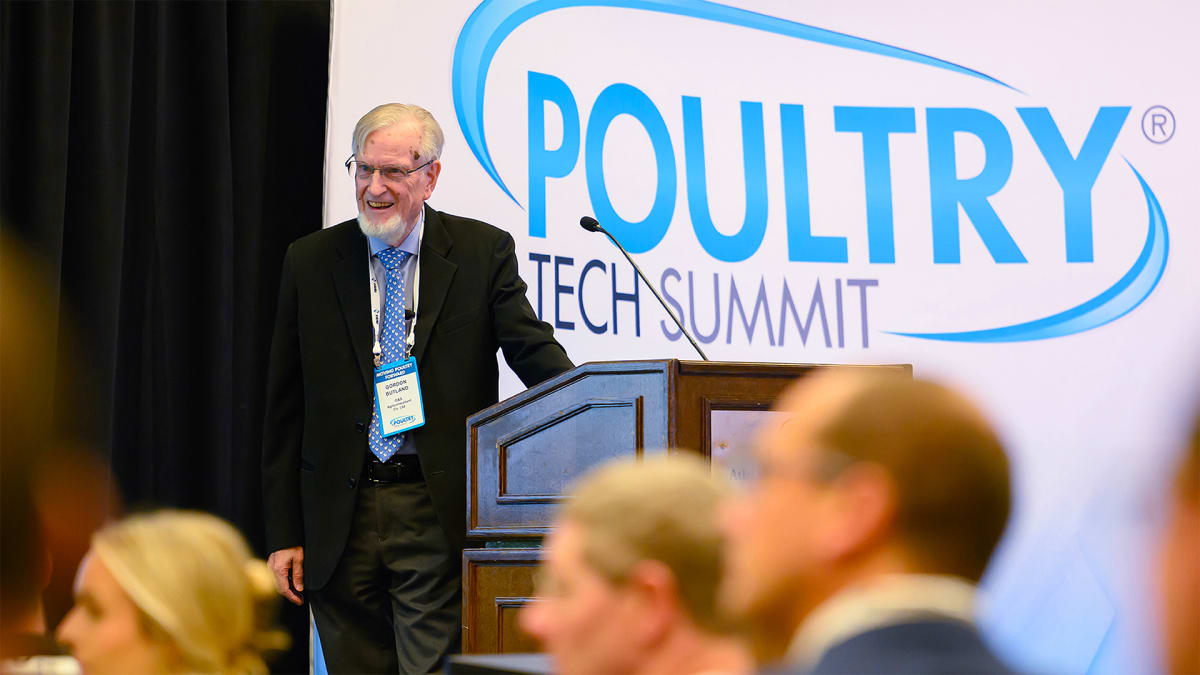 Hatching Tomorrow's Tech Today