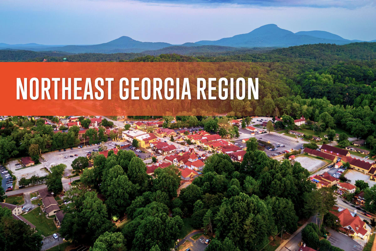 Northeast Georgia Region