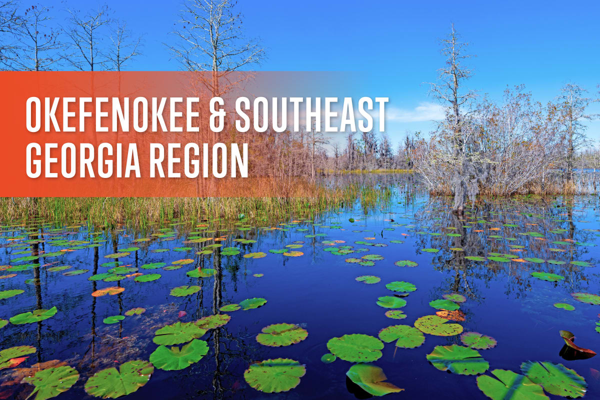 Okefenokee & Southeast Georgia Region