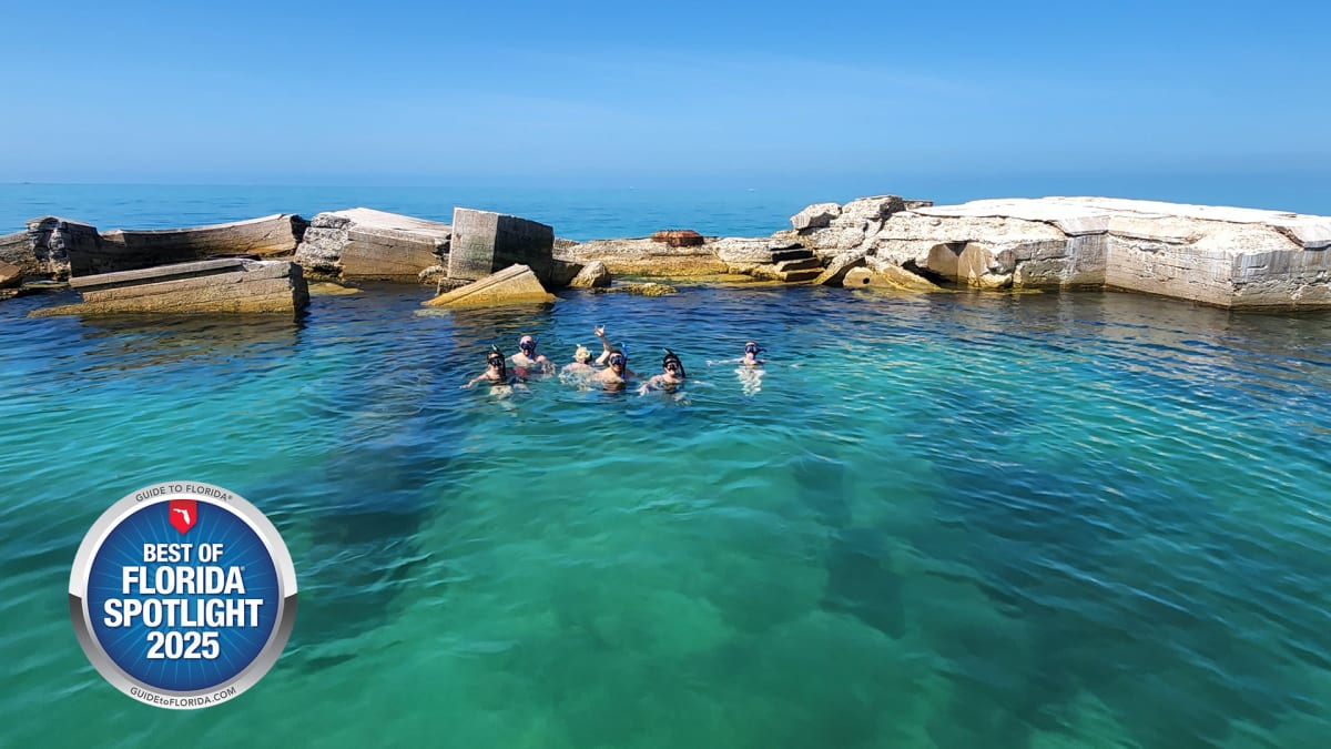 Your Dose of Vitamin Sea