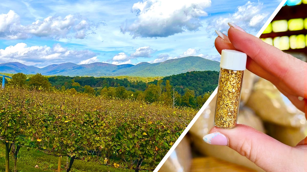 Panning, Pouring, and Plenty to Do in Dahlonega!