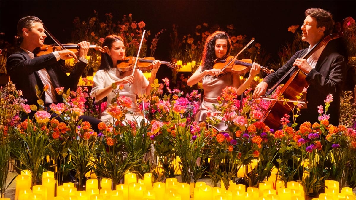 Strings Attached, Candles Lit!