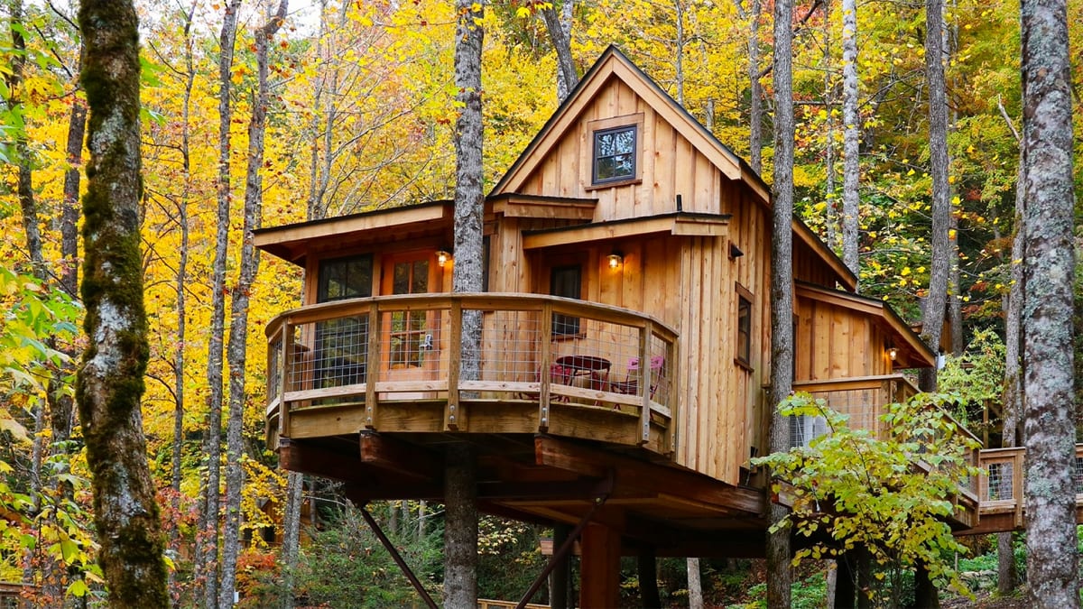 Rustic, Relaxed, and Ready for You