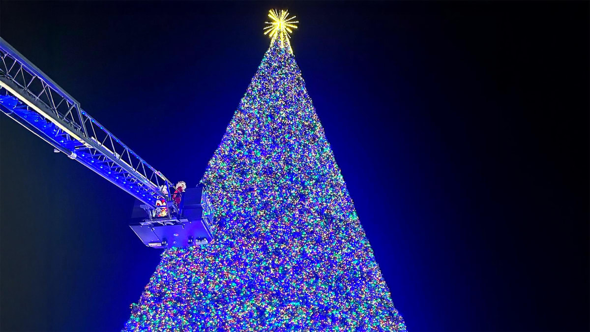 Delray Beach’s Towering Tradition!