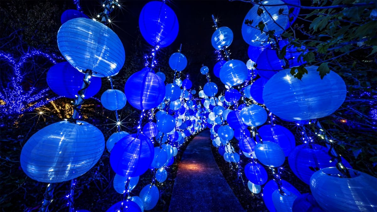 Glow Crazy This Holiday Season!