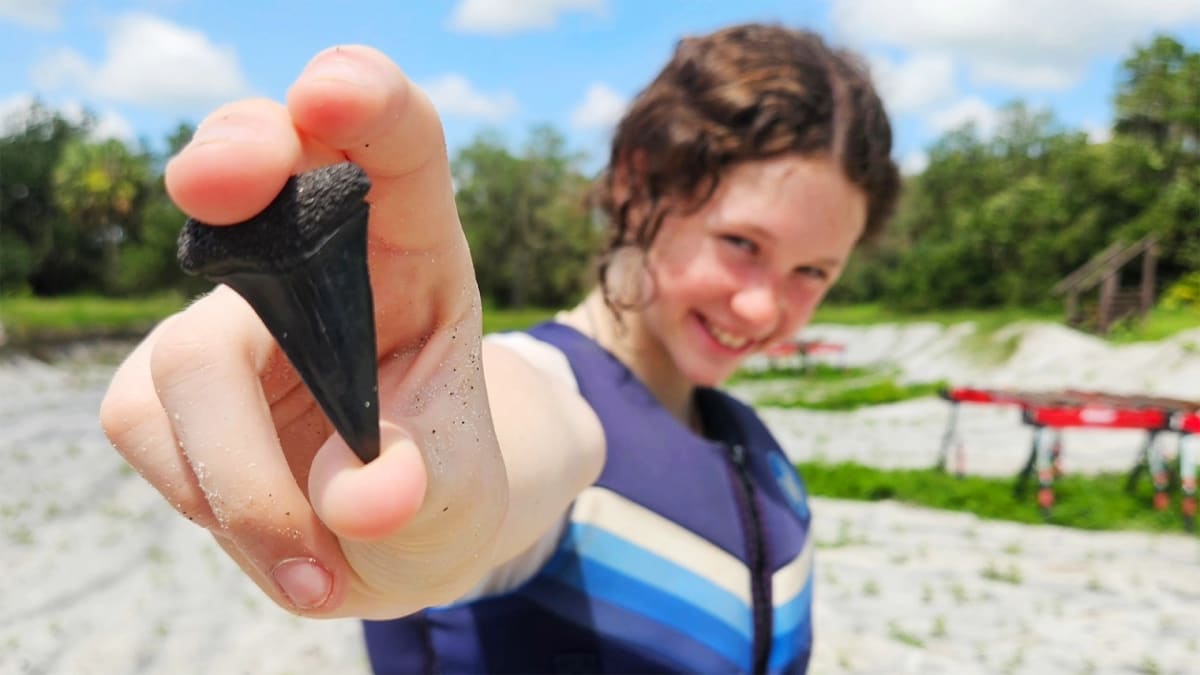 Dig It! Florida's Prehistoric Playground Awaits!