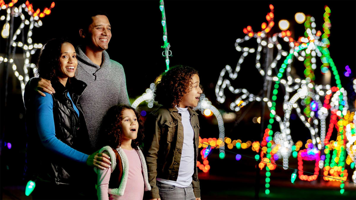 Merry by the Marina!