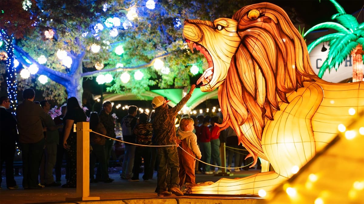 The Zoo Goes Full Glow Mode This Season!