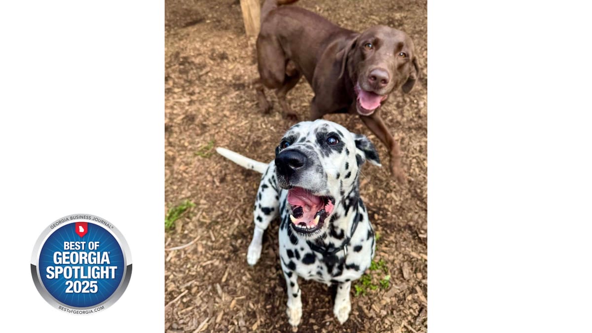 Where Pets Vacation Better Than Their Humans