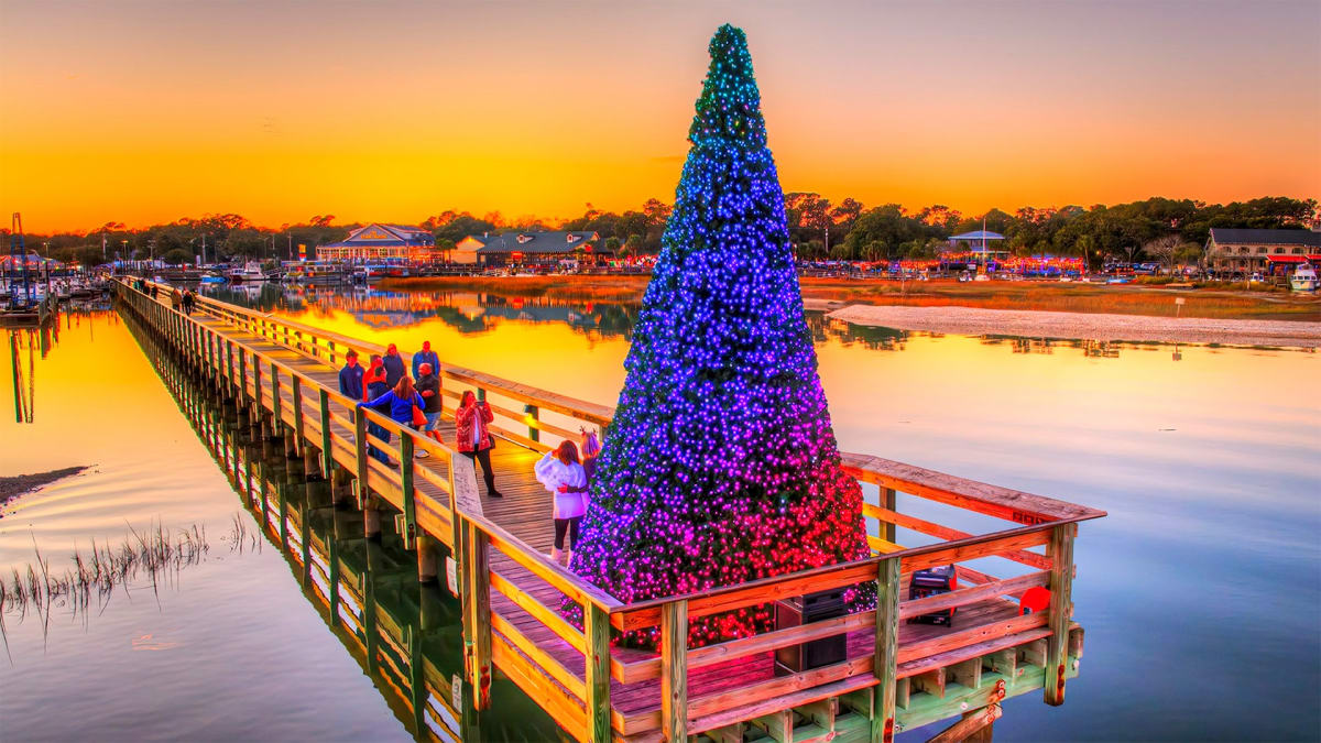 Winter Nights & Lowcountry Lights!