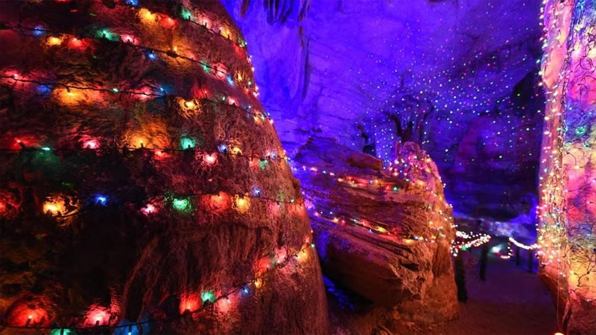 Where Festive Fun Runs Deep!