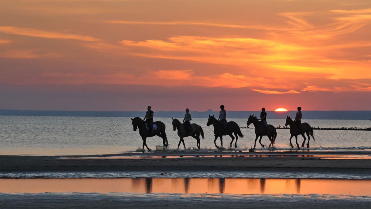 Giddy-Up Getaway!