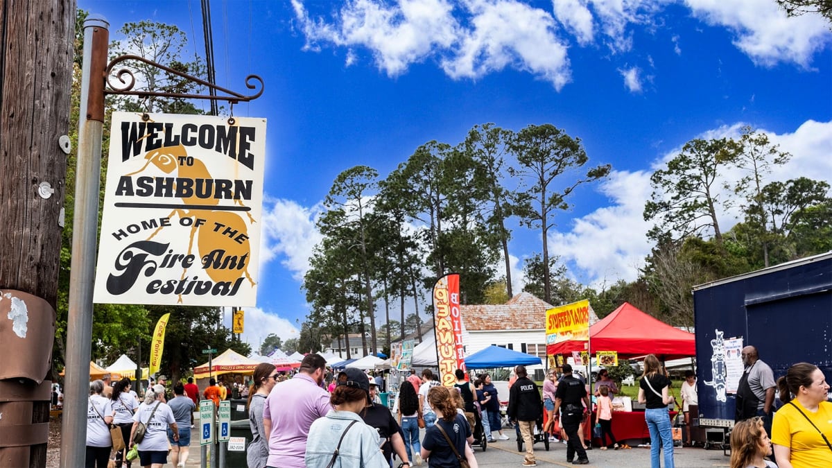 Ashburn Gets Antsy!