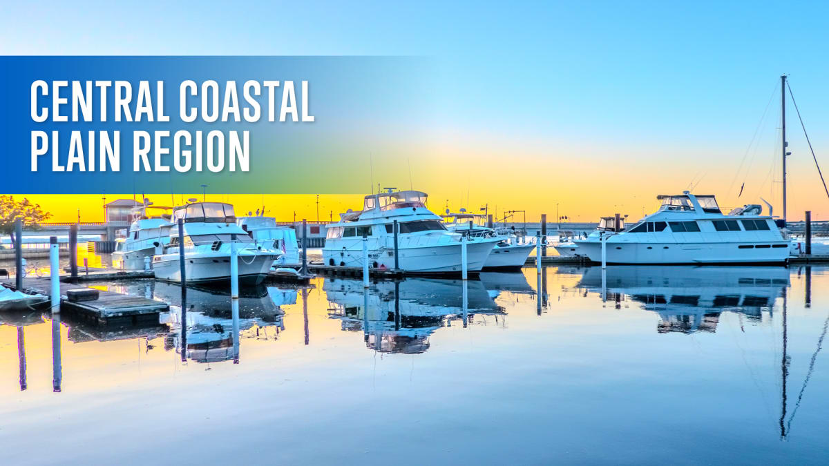 Central Coastal Plain Region