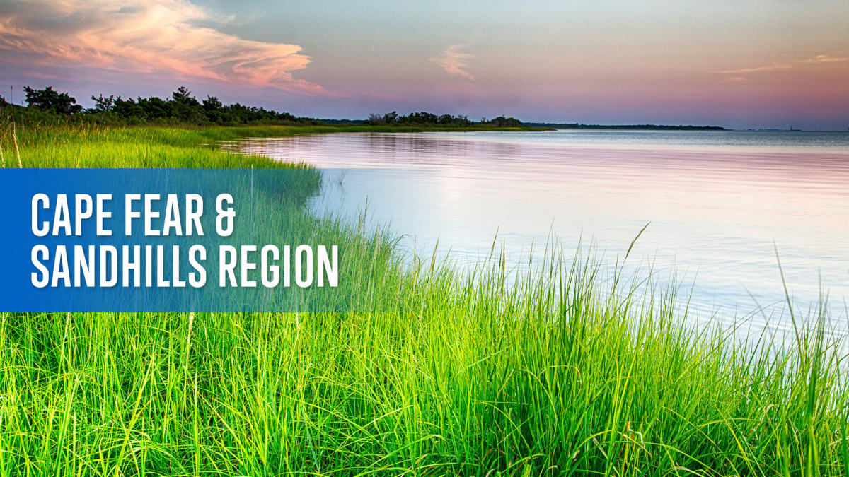 Cape Fear & Sandhills Region