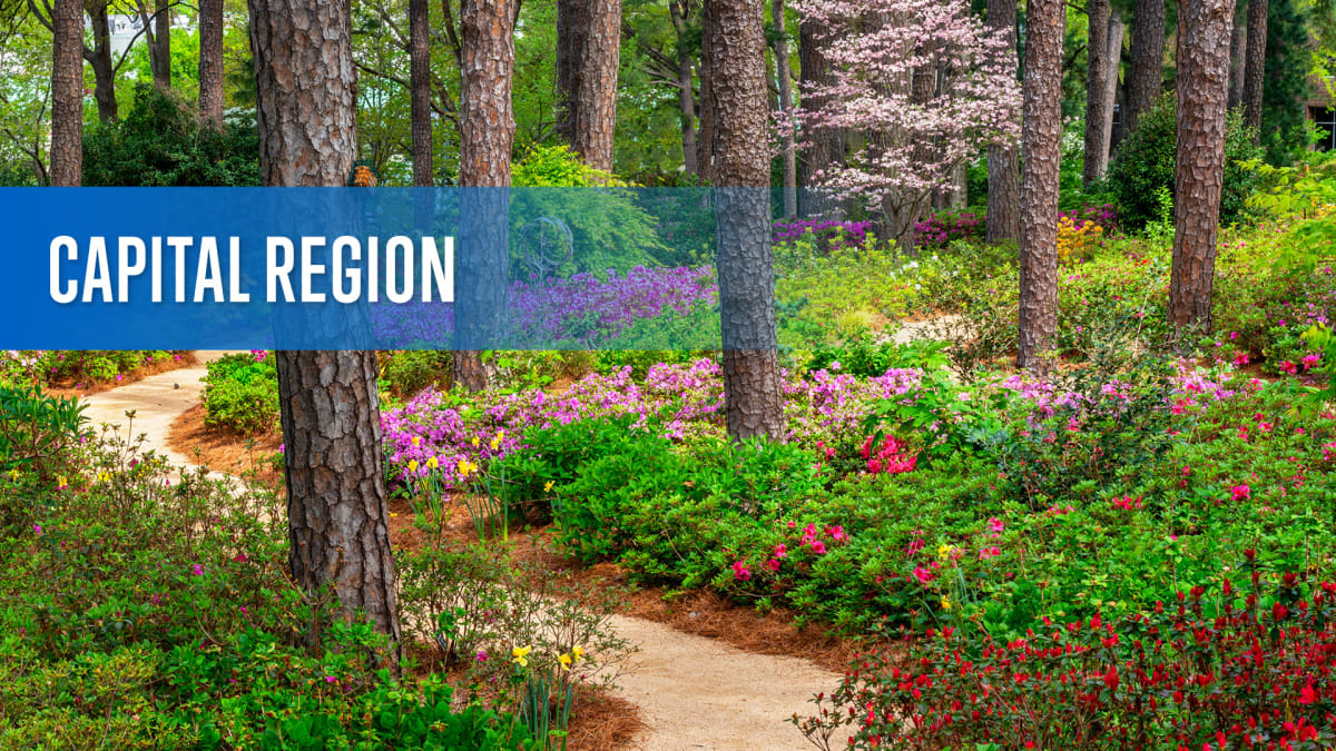 Capital Region