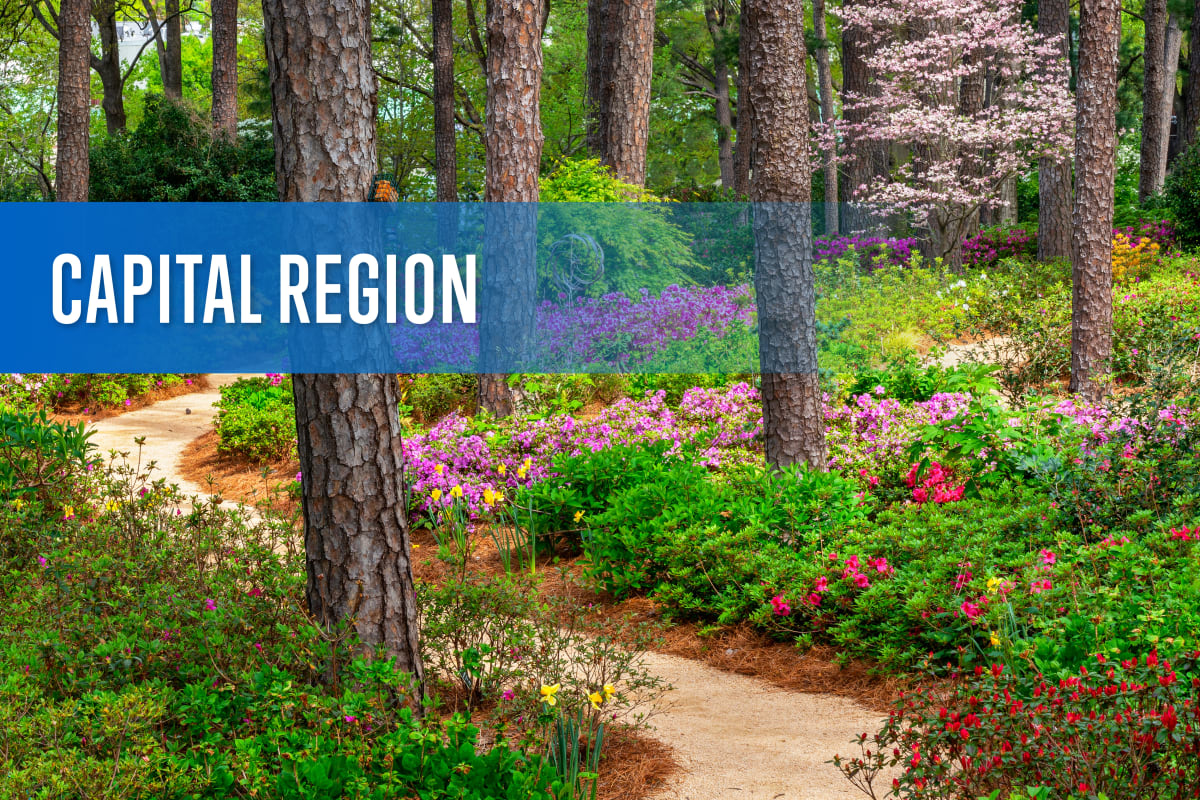 Guide to North Carolina - Capital Region