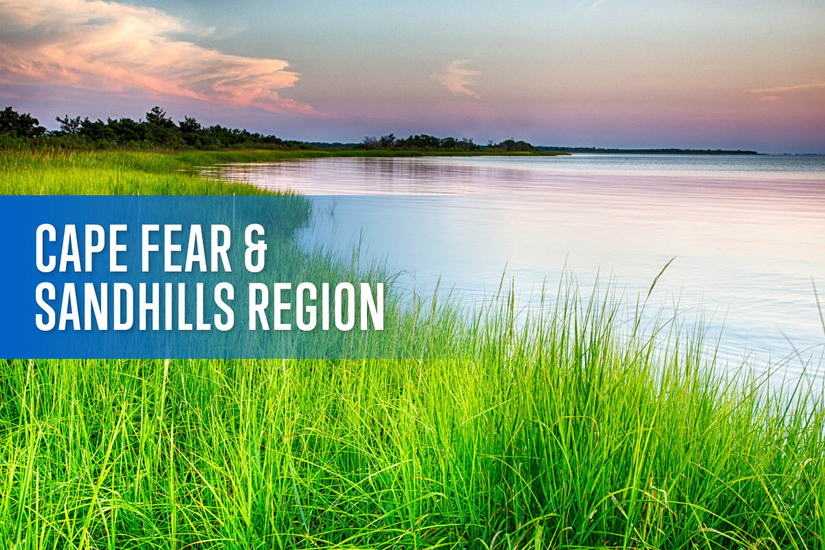 Guide to North Carolina - Cape Fear & Sandhills Region