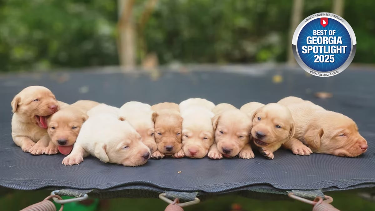 Puppies With a Purpose