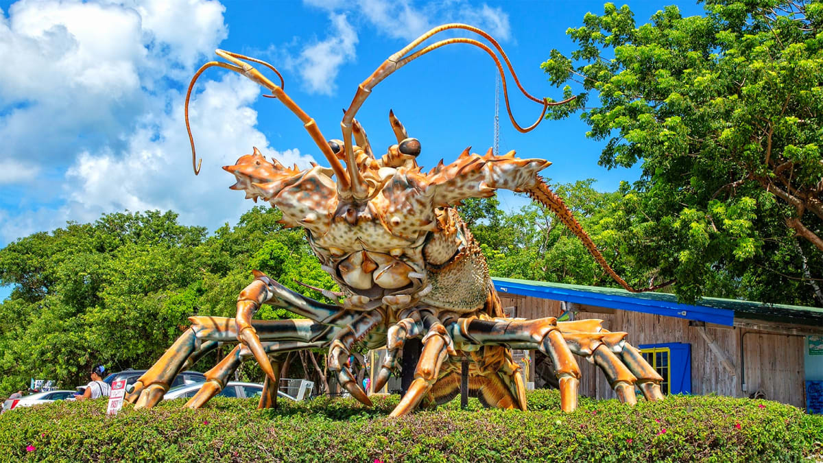 Wander Islamorada’s Wacky Side