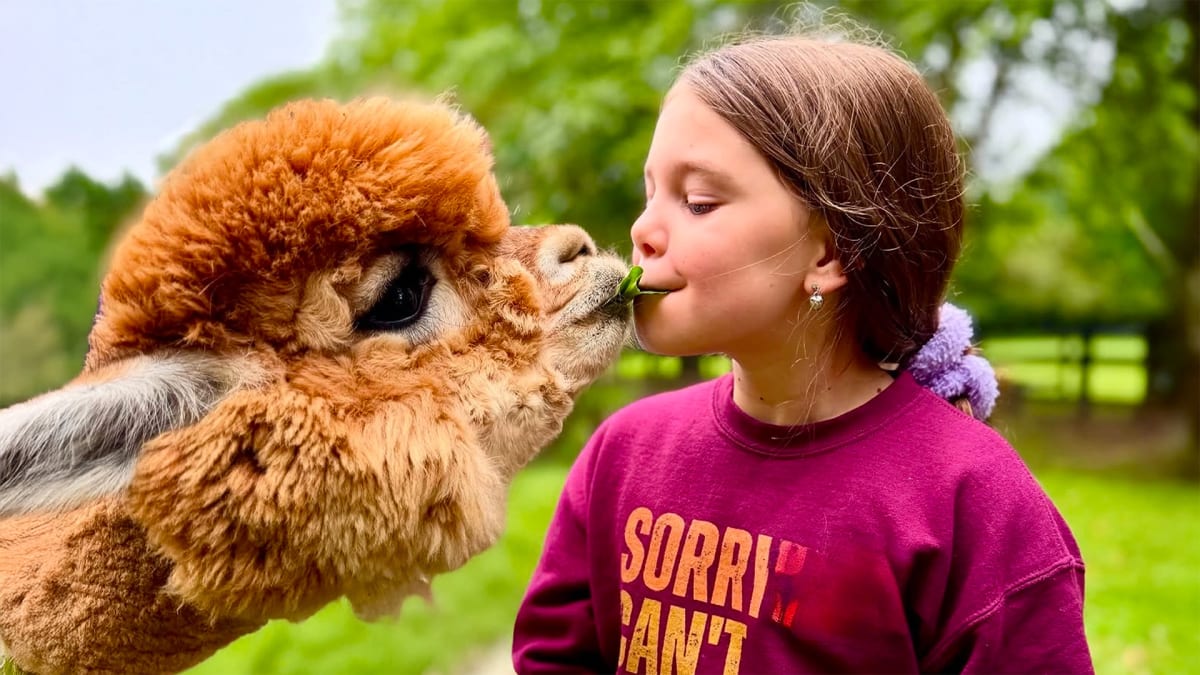 Herd it Here First! GA's Alpaca Farms