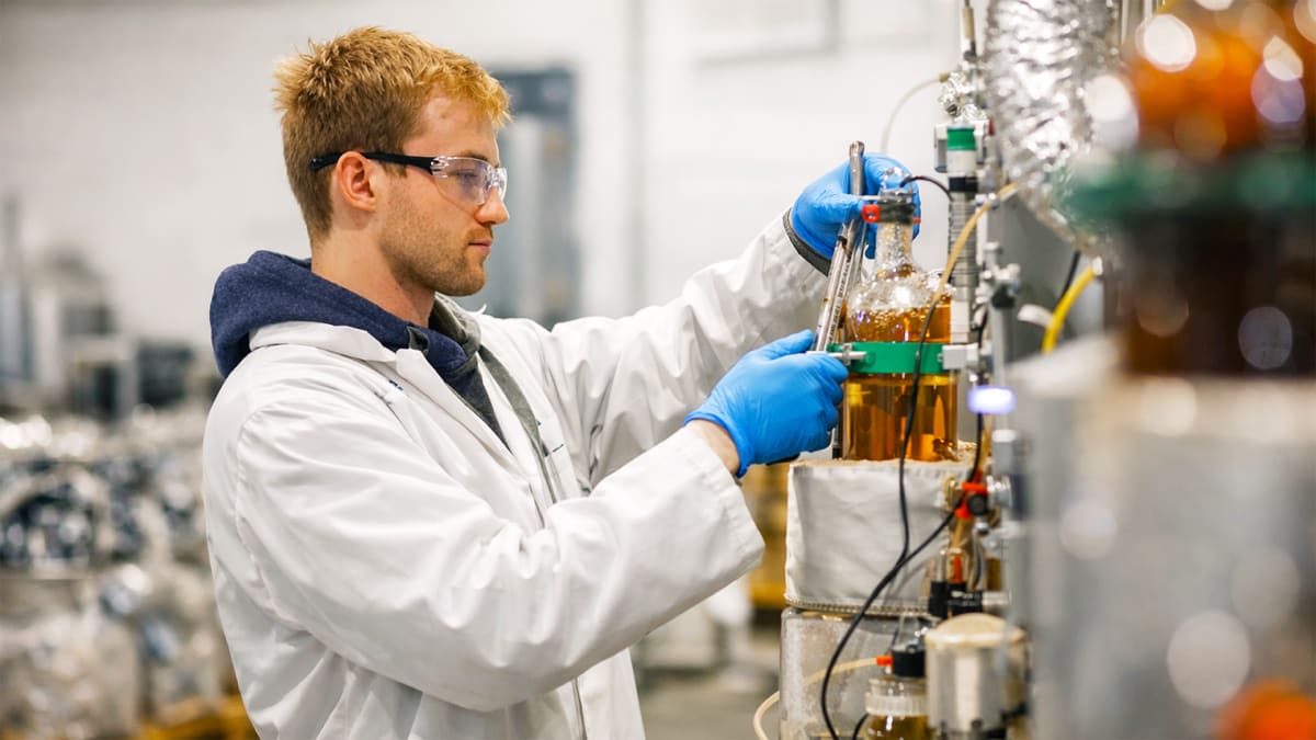 Rare Earth, Real Jobs