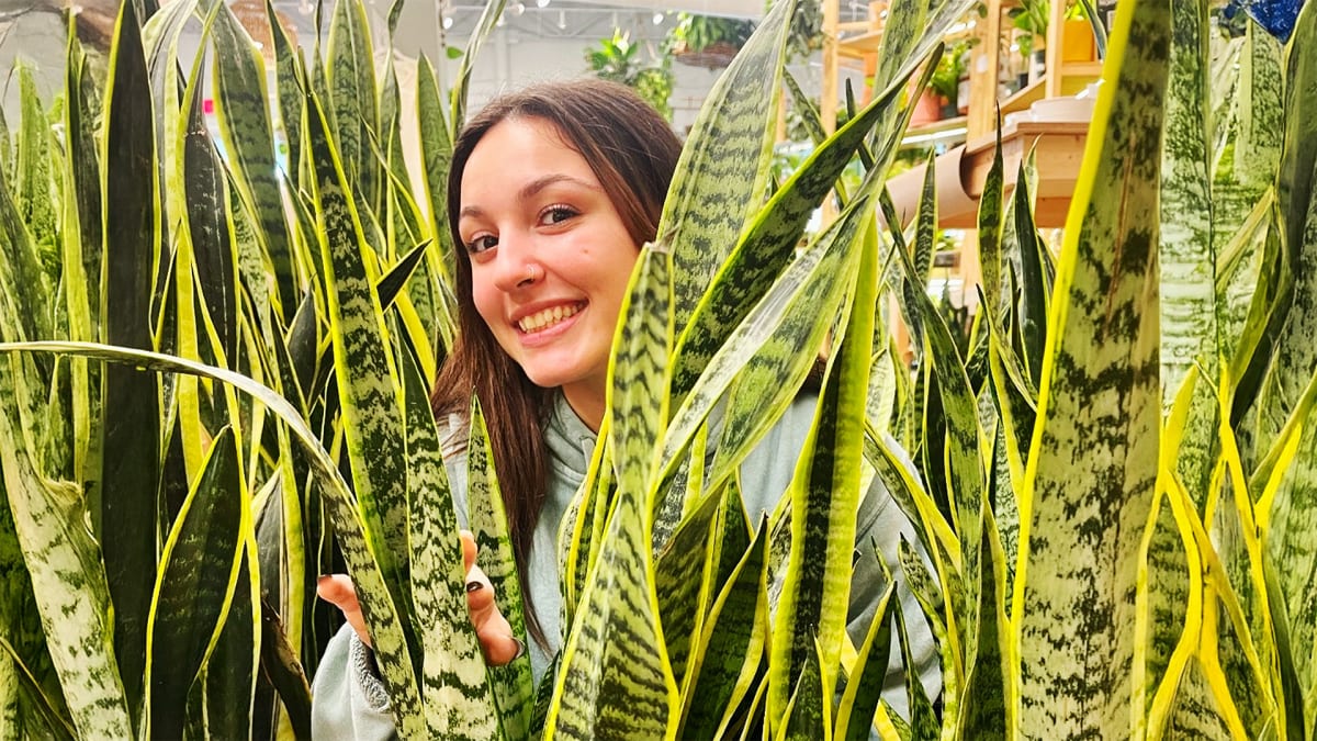 An Indoor Reset, Plant Edition!