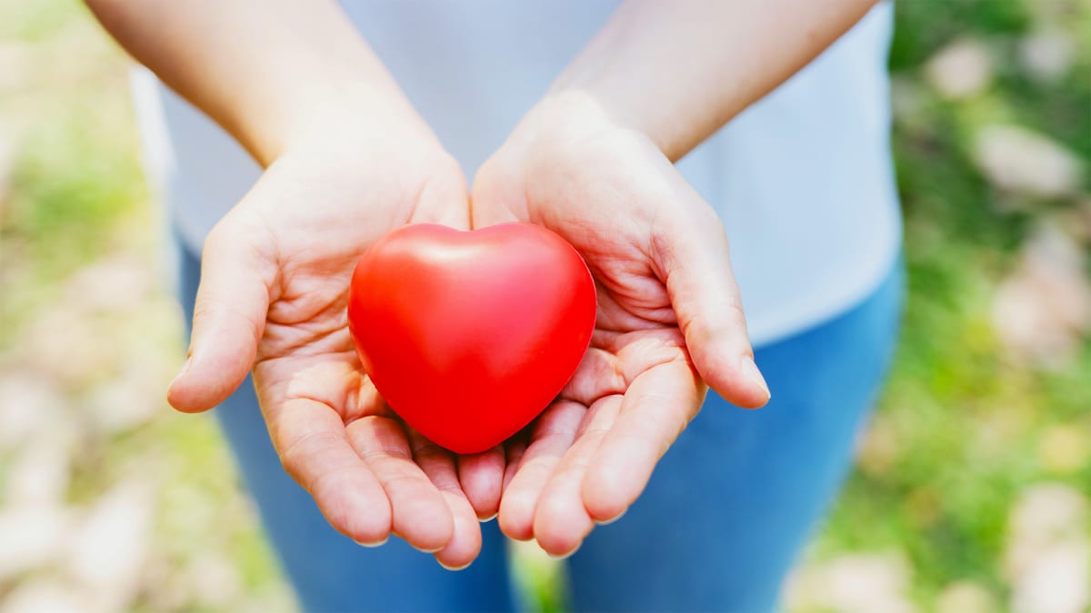 Heart Smart, Gwinnett Proud