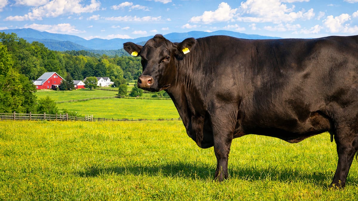 Farms Get a Funding Boost!