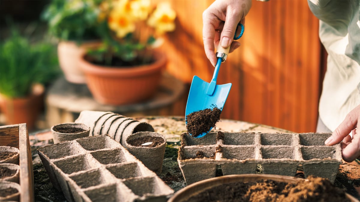 Spring Starts in the Dirt!