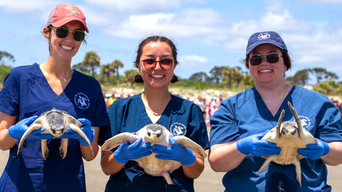 A Beach Day With a Purpose