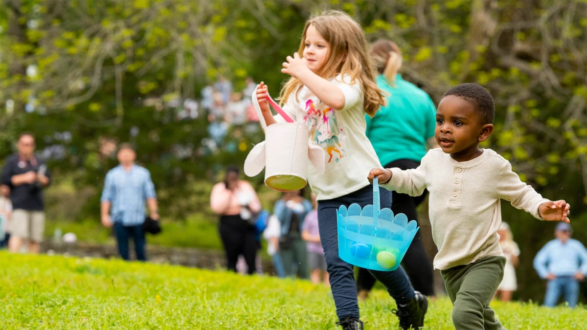 Hop In: Your Easter Weekend Starts Here!