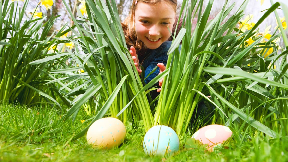 Where to Fill Your Basket This Easter!