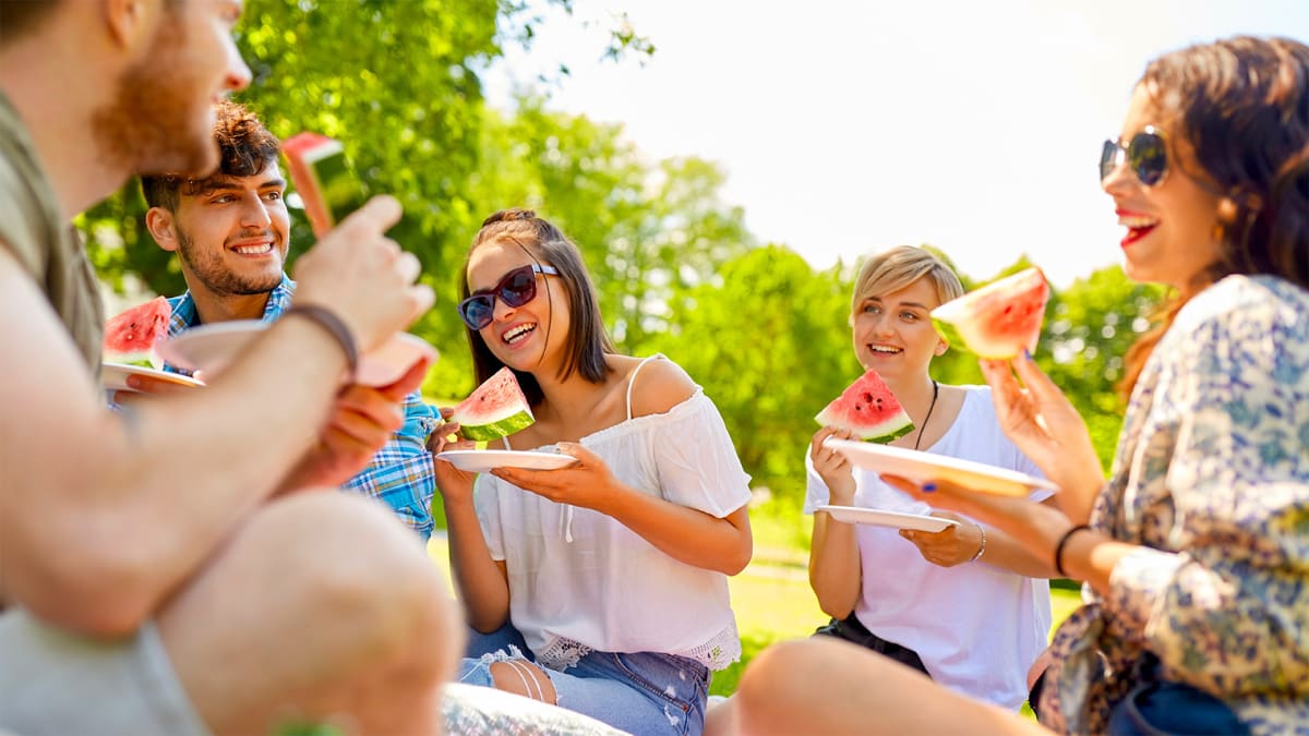 Your Picnic Game Plan!