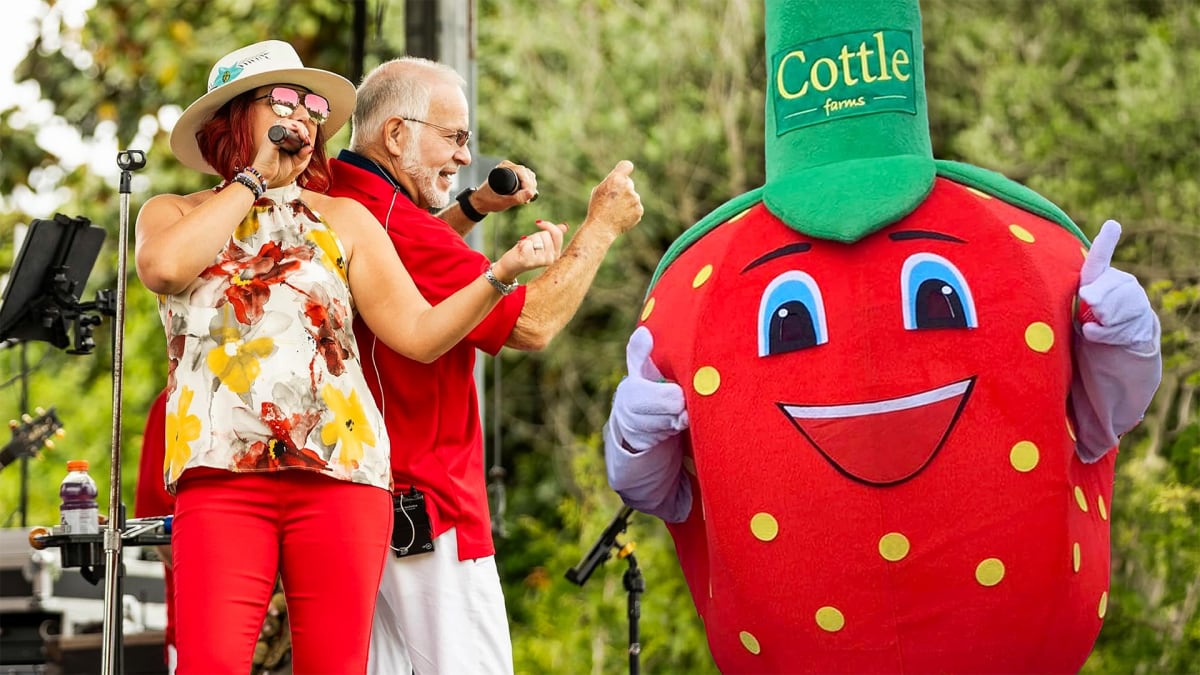 Jam-Packed With Strawberry Fun!