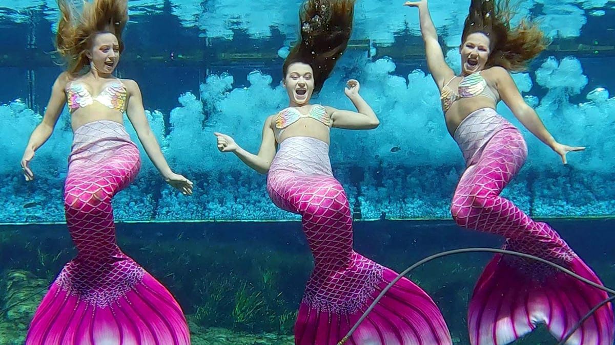 Real Mermaids. No CGI Required.