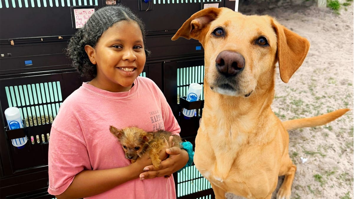 Fetch Your Future Bestie!