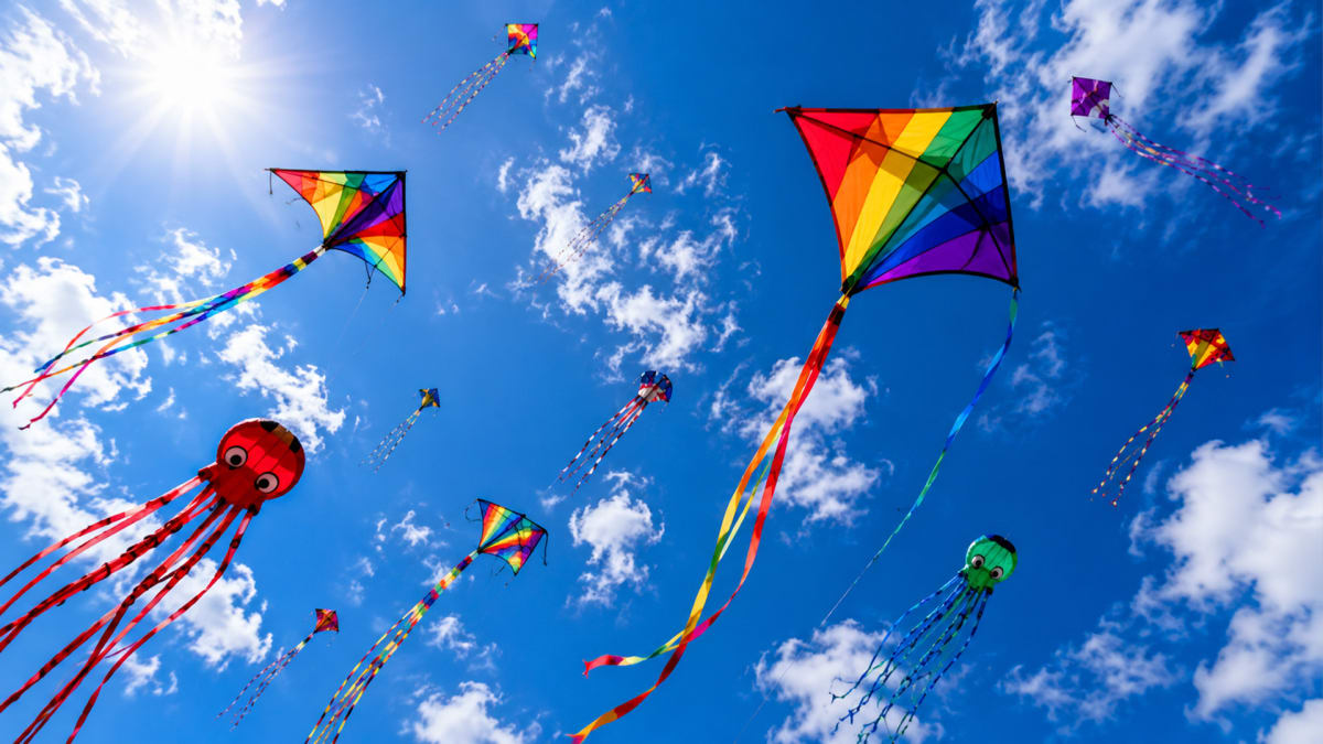 High-Flying Fun in Georgetown!