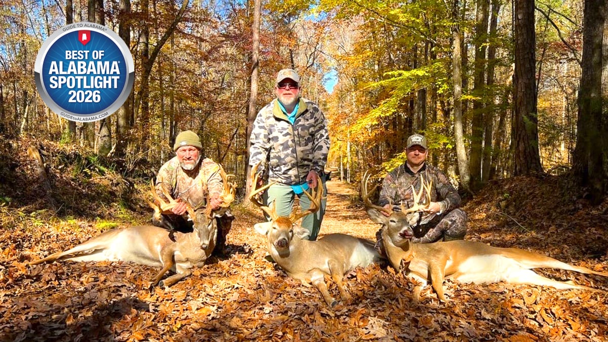 Where the Big Buck Story Begins