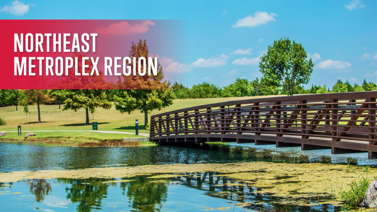 Northeast Metroplex Region